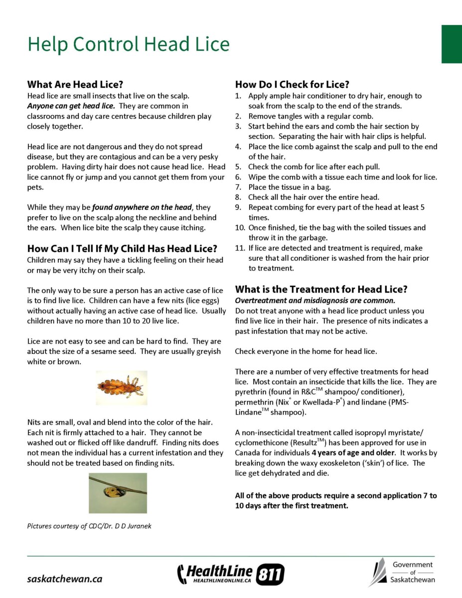 Head Lice Caronport Elementary School